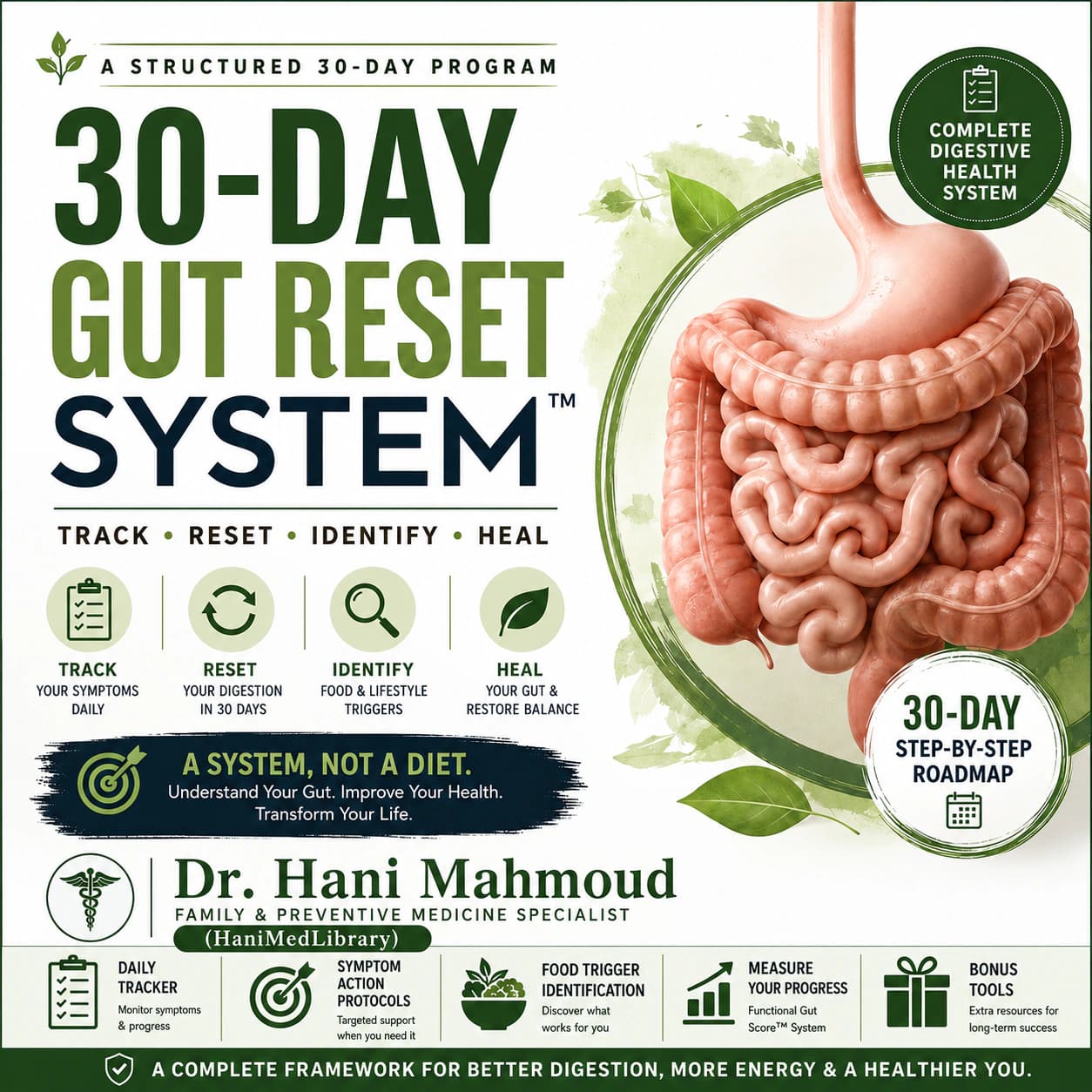 The 30-Day Gut Reset System cover